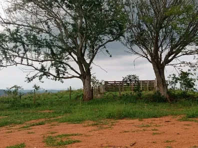 Fazenda/Sítio com 1 Quarto à venda, 290400m² no , Angatuba