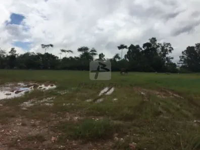 Lote/Terreno à venda, 1m² no Taboão, São Bernardo do Campo