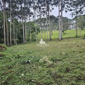 Fazenda/Sítio à venda, 3000m² no , Campina Grande do Sul