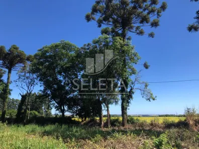 Galpão/Depósito/Armazém à venda, 26744m² no Cascavel Velho, Cascavel