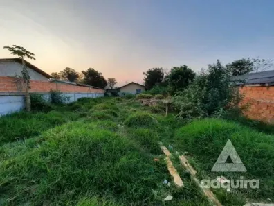 Lote/Terreno à venda, 275m² no Uvaranas, Ponta Grossa