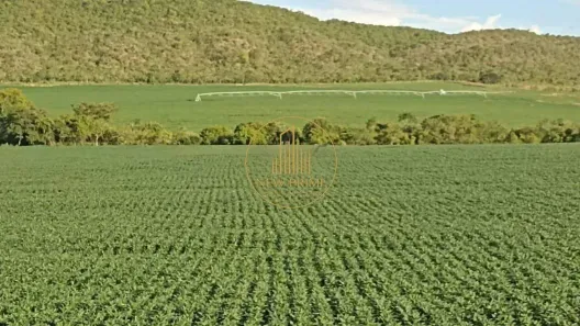 Fazenda/Sítio com 5 Quartos à venda, 356m² no Área Rural de Unaí, Unaí