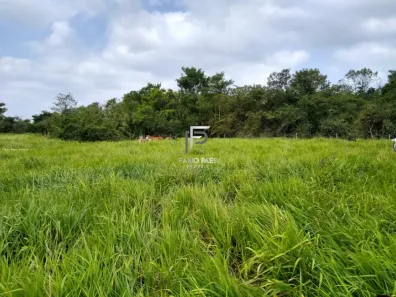 Fazenda/Sítio com 2 Quartos à venda, 290000m² no , Silva Jardim