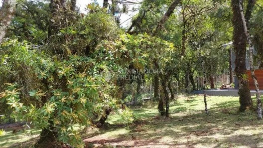Lote/Terreno à venda, 544m² no Centro, Canela