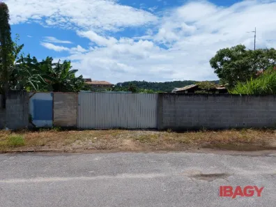 Lote/Terreno para alugar, 3000m² no Fazenda Santo Antônio, São José