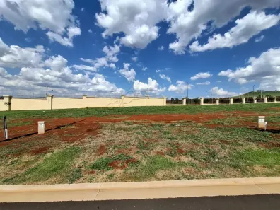 Lote/Terreno à venda, 330m² no Residencial Alto do Castelo, Ribeirão Preto