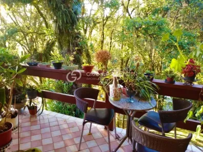 Casa com 4 Quartos à venda, 258m² no Jardim dos Pinheiros II, Canela