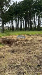 Lote/Terreno à venda, 750m² no Recanto Maravilha III, Santana de Parnaíba