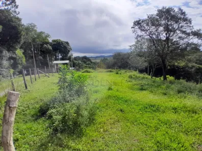Fazenda/Sítio à venda, 29519m² no , Tijucas do Sul