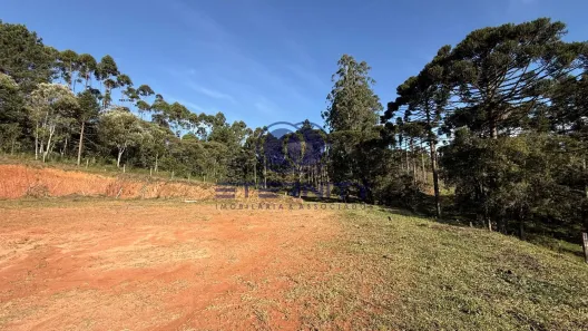 Lote/Terreno à venda, 7250m² no Serra Alta, São Bento do Sul