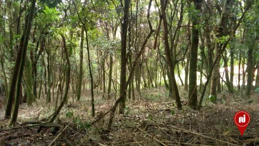 Lote/Terreno à venda, 3300m² no , Brumadinho