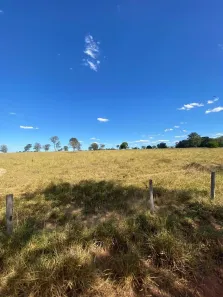 Fazenda/Sítio com 5 Quartos à venda, 217m² no , Mundo Novo