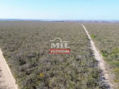 Fazenda/Sítio à venda, 500m² no , Bom Jesus