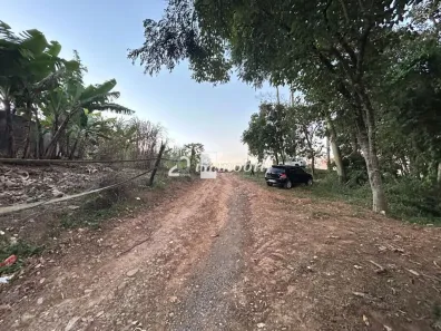 Lote/Terreno para alugar, 3998m² no Parque São George, Cotia