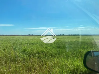 Fazenda/Sítio para alugar, 15000000m² no , Santa Maria das Barreiras