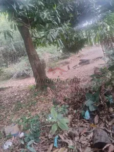 Lote/Terreno à venda, 4900m² no Pechincha, Rio de Janeiro