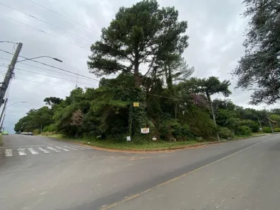 Lote/Terreno à venda, 1200m² no Santa Terezinha, Canela