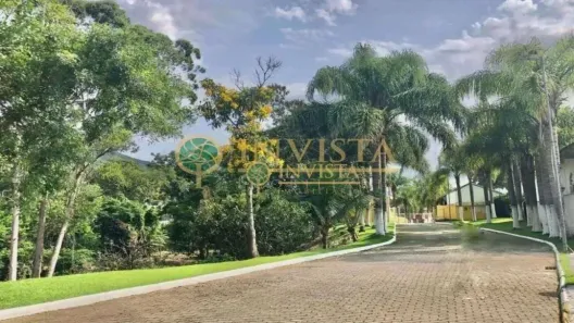 Lote/Terreno à venda, 456m² no Ratones, Florianópolis