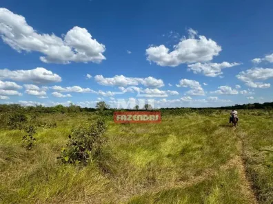 Fazenda/Sítio à venda, 500m² no , Pium