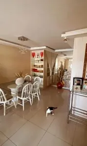 Casa com 3 Quartos para alugar, 4000m² no Chácara Brasil, São Luís