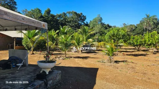 Fazenda/Sítio à venda, 6499m² no Plano Diretor Norte, Palmas