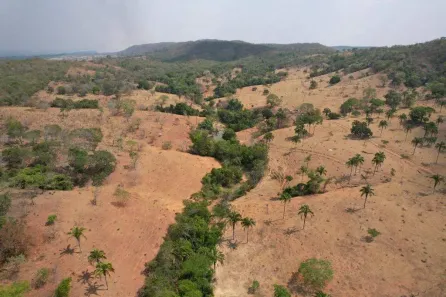 Fazenda/Sítio com 3 Quartos à venda, 10m² no , Santa Cruz de Goiás
