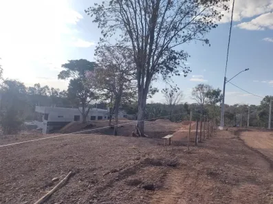 Fazenda/Sítio à venda, 2157m² no Centro, Trindade