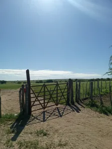 Fazenda/Sítio com 3 Quartos à venda, 6270000m² no , Açu