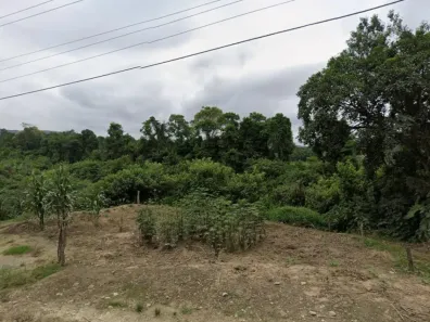 Lote/Terreno com 1 Quarto à venda, 250000m² no , Mirim Doce