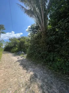 Fazenda/Sítio à venda, 800m² no , Guaramiranga