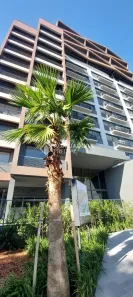 Apartamento com 1 Quarto à venda, 29m² no Rio Branco, Porto Alegre