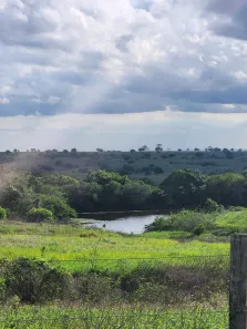Fazenda/Sítio com 1 Quarto à venda, 500000m² no , Monte Alegre
