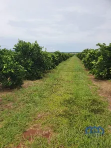 Fazenda/Sítio com 1 Quarto à venda, 23062600m² no Centro, Avaré