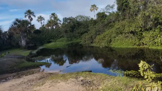 Fazenda/Sítio à venda, 18427518m² no , Bonito de Minas
