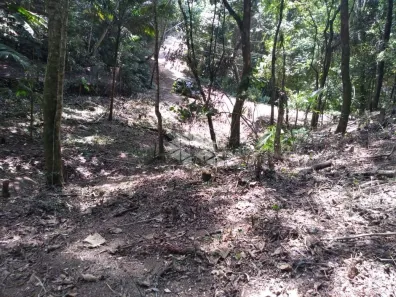 Lote/Terreno à venda, 1799m² no Jundiaizinho (Terra Preta), Mairiporã