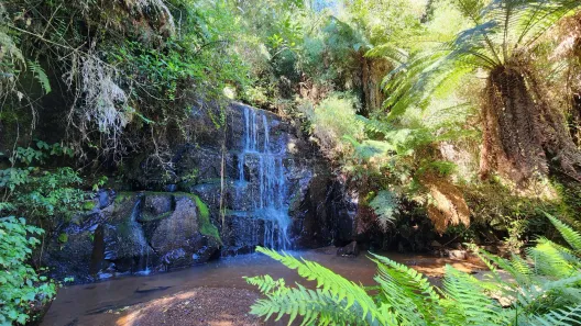Fazenda/Sítio à venda, 1850m² no , Rio Rufino