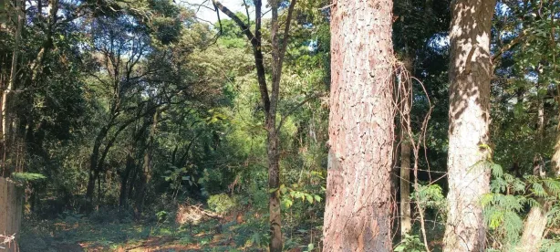 Lote/Terreno à venda, 2080m² no Vila Recreio, Itapetininga