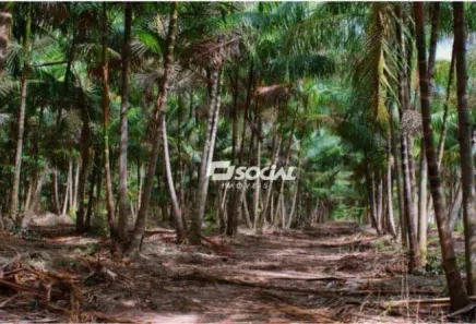 Lote/Terreno à venda, 5000000m² no Mato Grosso, Porto Velho