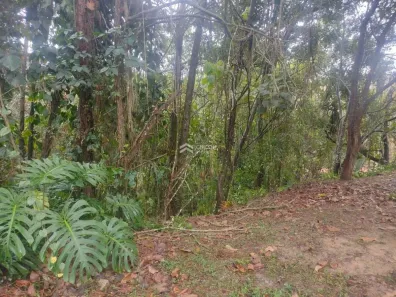 Lote/Terreno à venda, 600m² no Colinas de São Fernando, Cotia