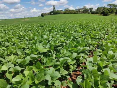 Fazenda/Sítio com 3 Quartos à venda, 87m² no Área Rural de Capão Bonito, Capão Bonito