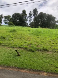 Lote/Terreno à venda, 5000m² no Condomínio Chácaras do Alto da Nova Campinas, Campinas