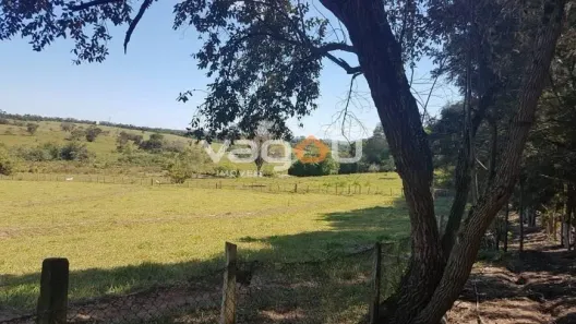 Fazenda/Sítio à venda, 37894m² no , Conchas