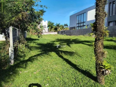 Lote/Terreno à venda, 560m² no Balneário Praia do Pernambuco, Guarujá