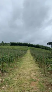 Fazenda/Sítio com 2 Quartos à venda, 80m² no , São Miguel Arcanjo