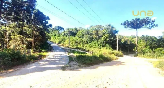 Lote/Terreno à venda, 43640m² no , Bocaiúva do Sul