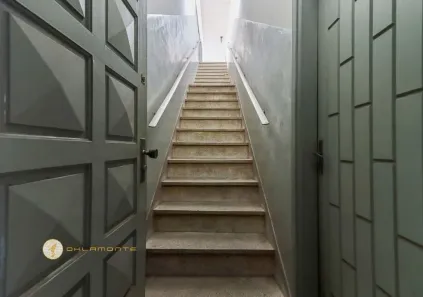 Casa com 1 Quarto para alugar, 220m² no Cidade Ademar, São Paulo