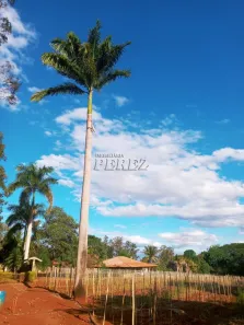 Lote/Terreno à venda, 2355m² no Primeiro de Maio, Primeiro de Maio