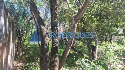 Lote/Terreno à venda, 5200m² no Itacimirim (Monte Gordo), Camaçari
