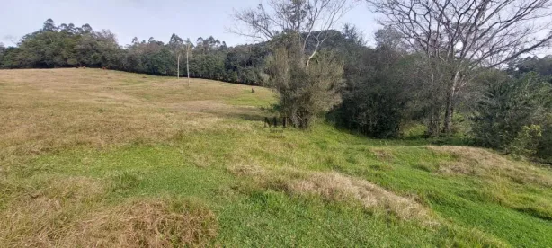 Lote/Terreno à venda, 20000m² no Joaneta, Picada Café