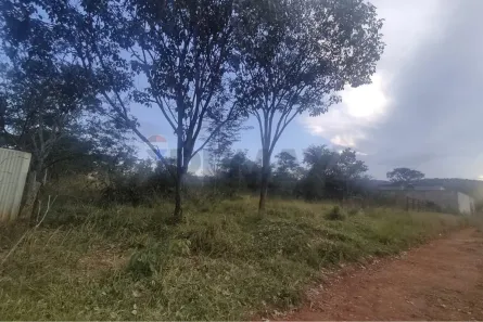 Lote/Terreno à venda, 600m² no Nova Esperança, Santa Luzia